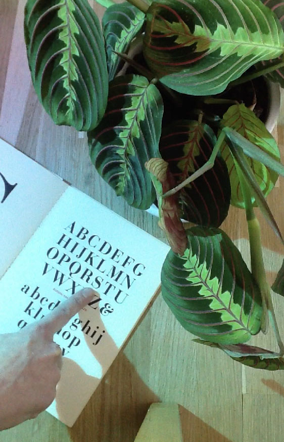 Lucile Olympe Haute Teaching A Plant The Alphabet reenactment